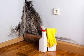 Best Mold Prevention Services  in Gulfport, FL